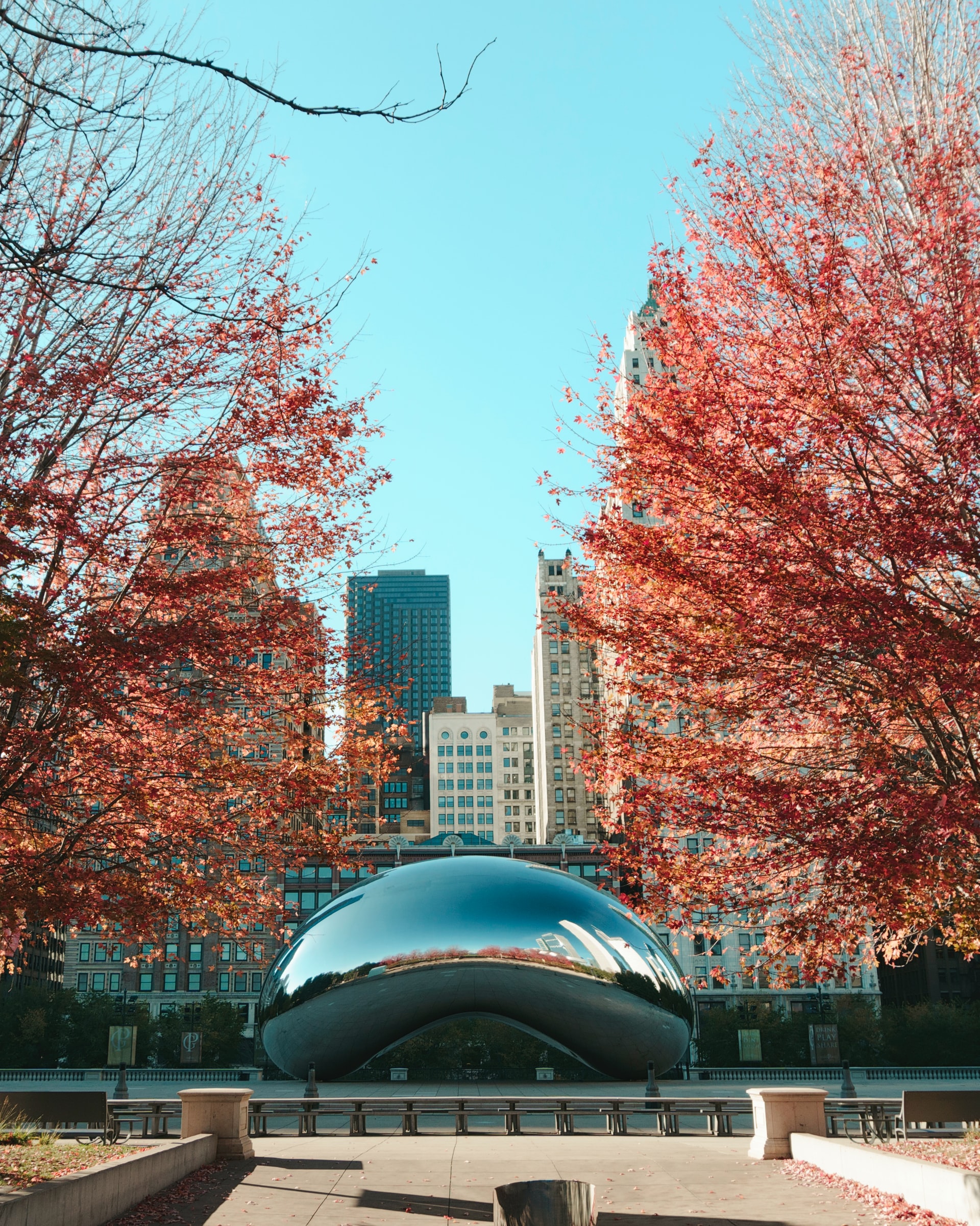 Illinois Medicare Advantage Plans MedicareGuide